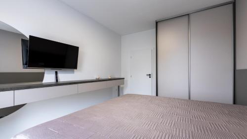 TV a/nebo společenská místnost v ubytování AV apart hotel