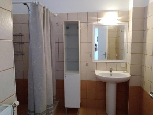 a bathroom with a sink and a mirror at Ανδρος Αρκουδα in Andros