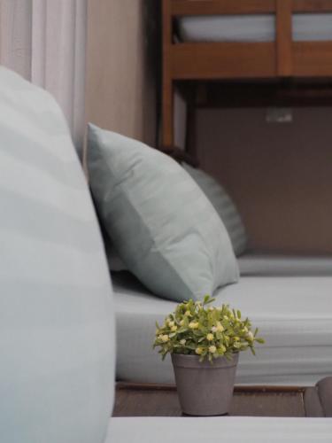 a potted plant sitting on a bed with a pillow at บ้านชมเขา - Baan Chom Khao in Pak Chong