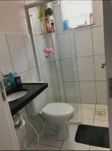 a bathroom with a shower with a toilet and a sink at Apartamento bem localizado em fortaleza in Fortaleza