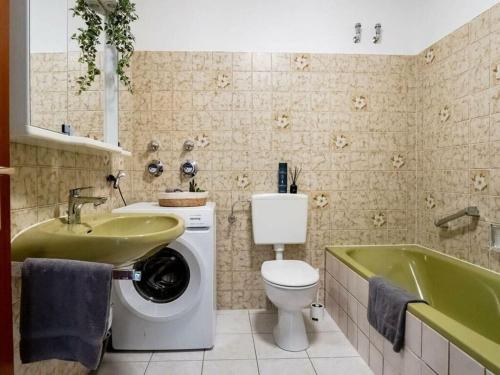 La salle de bains est pourvue de toilettes, d'un lavabo et d'un lave-linge. dans l'établissement Kirschke Comfortable holiday residence, à Warendorf