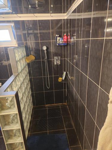 uma casa de banho com um chuveiro com azulejos pretos em Refugiul Rustic em Arad