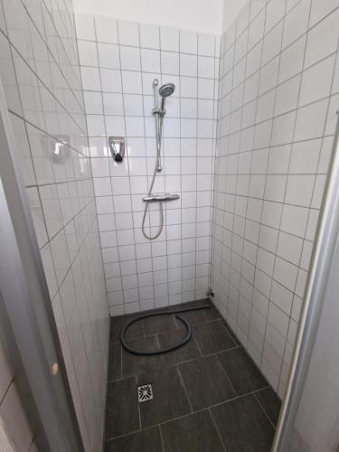 a bathroom with a shower with a tiled floor at Gudzevic Ferien Unterkünfte A 2 in Gloggnitz