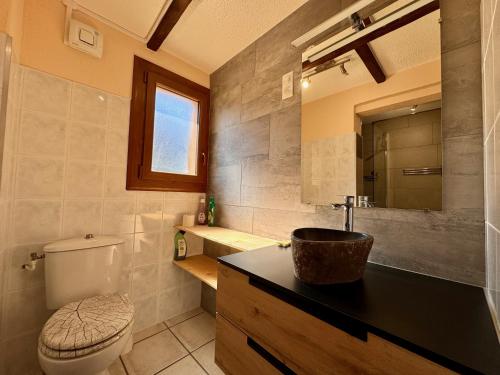 La salle de bains est pourvue de toilettes, d'un lavabo et d'un miroir. dans l'établissement L'étape du plateau de Corréo, à La Roche-des-Arnauds