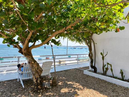 a woman sitting in a chair under a tree next to the beach at Kaktus home & kafe in Tuy Hoa