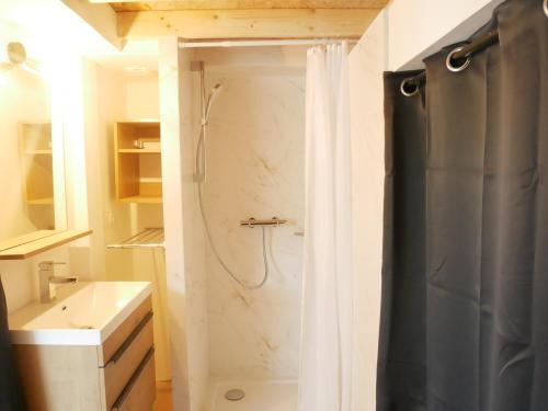 a bathroom with a shower and a sink at Villa Cathy Studio in Aix-les-Bains