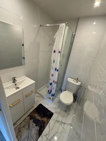 une salle de bain avec toilettes, douche et lavabo dans l'établissement Petit studio entièrement rénové, au Cannet