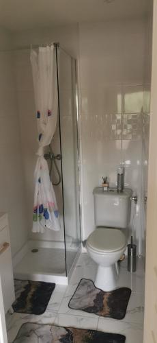 une salle de bain avec toilettes et douche en verre dans l'établissement Petit studio entièrement rénové, au Cannet