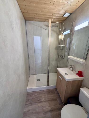 a bathroom with a shower and a toilet and a sink at Résidence Punta paliagi in Calcatoggio