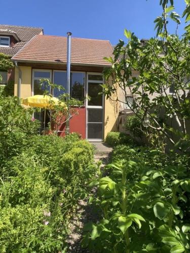 a house with a red door and some green bushes at Studio Vineta in Barth