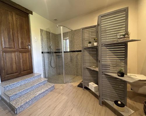 a bathroom with a shower and a sink and a toilet at Chambre familiale in Saint-Nabord