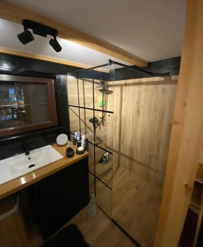 a bathroom with a shower and a sink at Leśny Zakątek in Chycina