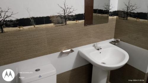 a bathroom with a sink and a toilet and a mirror at Anuhas Family Resort & Water House in Anuradhapura