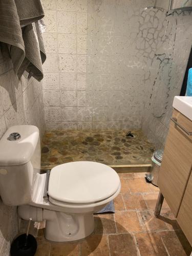 a bathroom with a toilet and a floor in the shower at Le PHoenix in Roquestéron