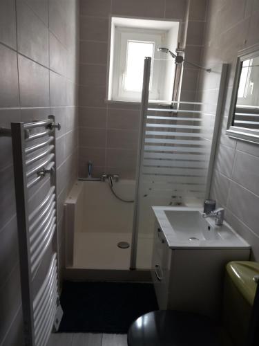 Kúpeľňa v ubytovaní Appartement 4 personnes La Bresse centre