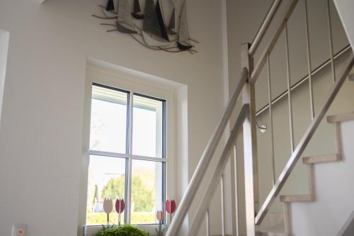 Gambar di galeri bagi ILEX Appartements di Born