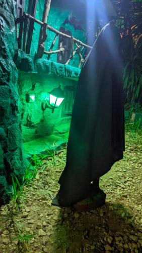 a statue of a penguin in front of a aquarium at Châteaux Yolande in Mahajanga