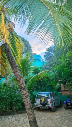 a car parked next to a palm tree at Châteaux Yolande in Mahajanga