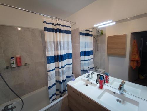 une salle de bain avec un lavabo et une douche dans l'établissement cosy appartement proche de la Défense, à Bezons