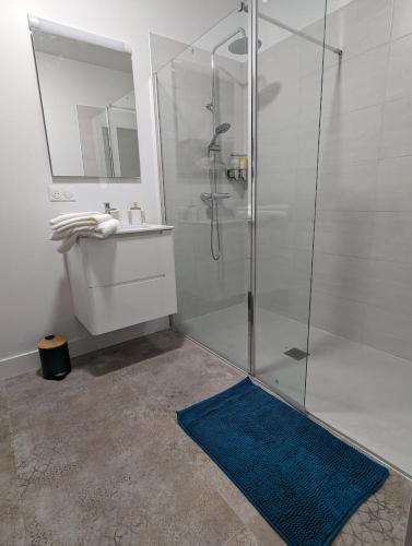 une salle de bain avec une douche, un lavabo et un miroir dans l'établissement Mulintegiko Bidea, à Biriatou