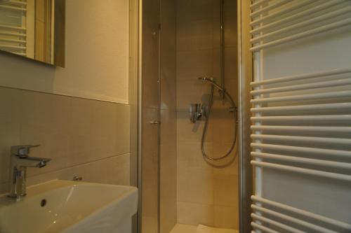 uma casa de banho com um chuveiro e um lavatório. em Ferienwohnung Thulbatal em Oberthulba