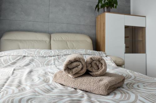 Postel nebo postele na pokoji v ubytování Apartament VICTORIA Olecko
