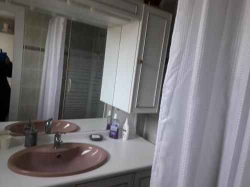 uma casa de banho com um lavatório e um espelho em la maison rose 2 chambres a louer avec lits 2 personnes em Nevers