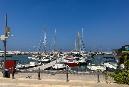 a bunch of boats docked in a marina at Mountain View Apartment - Polis in Polis Chrysochous