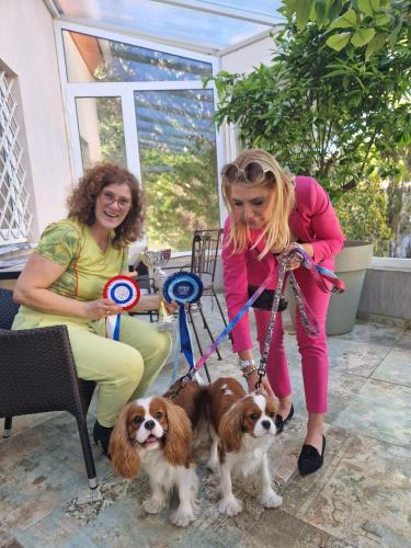 two women are holding two dogs on leashes at Villa Vino & Grad in Zagreb