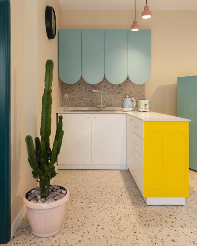 a kitchen with a cactus in a pot next to a sink at Teal Guesthouse in Batroûn