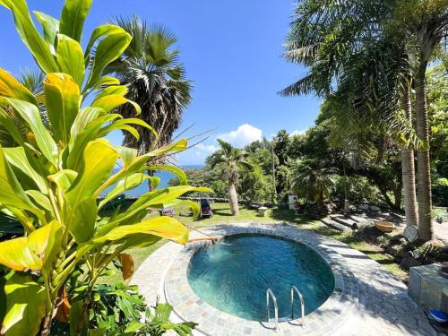 Mahina的住宿－TE REKA LODGE vue mer，棕榈树庭院内的游泳池