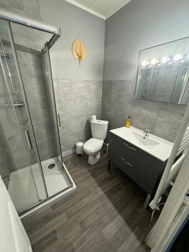 une salle de bain avec une douche, des toilettes et un lavabo dans l'établissement Belle maison médocaine, à Saint-Julien-Beychevelle