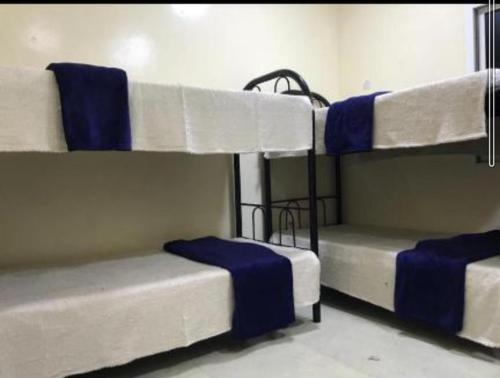 three bunk beds in a room with blue and white at Backpackers Hostel in Dubai