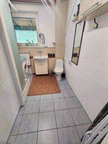a small bathroom with a toilet and a sink at Apartament Kapi in Kalwaria Zebrzydowska