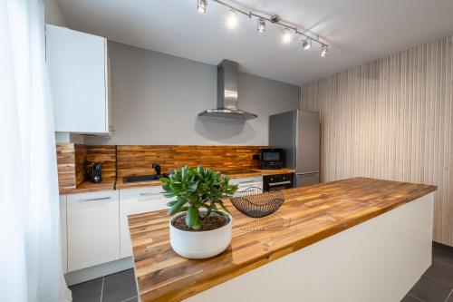 a kitchen with a potted plant on a wooden counter at News ! Loft Movie Station Champagne in Reims