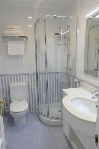 ein Bad mit einer Dusche, einem WC und einem Waschbecken in der Unterkunft BilbaoBonito -Campo Volantin- Exterior 5min Guggenheim -Parking in Bilbao