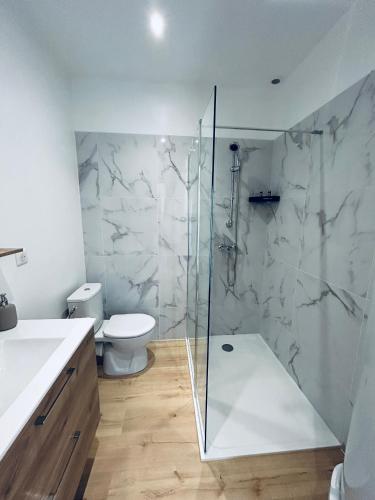 une salle de bain avec une douche en verre et des toilettes dans l'établissement Studio cosy, à Vidauban