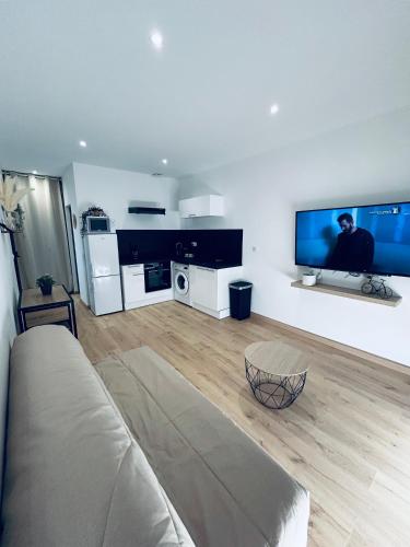 un salon avec un canapé et une télévision à écran plat dans l'établissement Studio cosy, à Vidauban