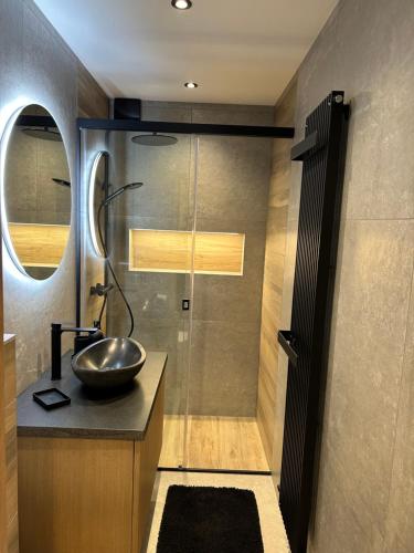 a bathroom with a sink and a shower at Gîte La Gernelle in Bouillon