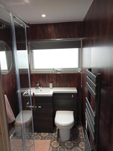 a bathroom with a toilet and a sink and a window at 11 Headwards Retreat in Great Yarmouth