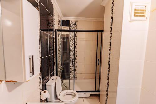 La salle de bains est pourvue d'une douche et de toilettes. dans l'établissement Diamond Suites Residence, à Istanbul