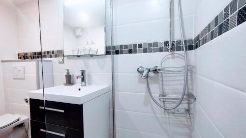 a bathroom with a shower and a sink at Studio calme petite vue lac in Saint-Jorioz
