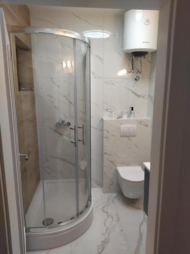 a bathroom with a shower and a toilet at Punta Rata apartment in Brela