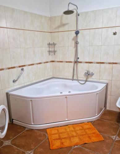 a bath tub in a bathroom with a shower at Holiday House Nirvana in Bakarac