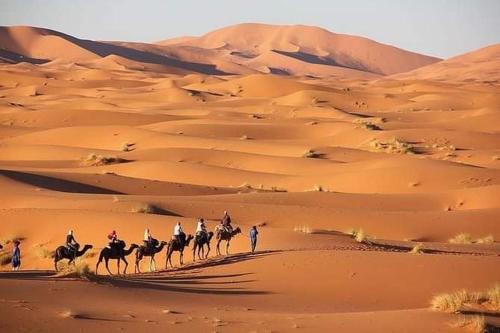 a group of people riding horses in the desert at Mustapha Camp Merzouga in Merzouga