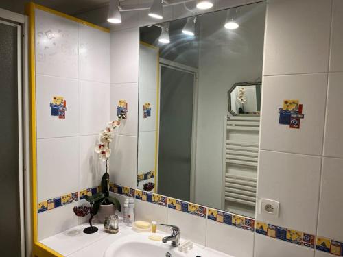 une salle de bain avec un lavabo et un miroir dans l'établissement Appartement Le Goëland, à Arcachon