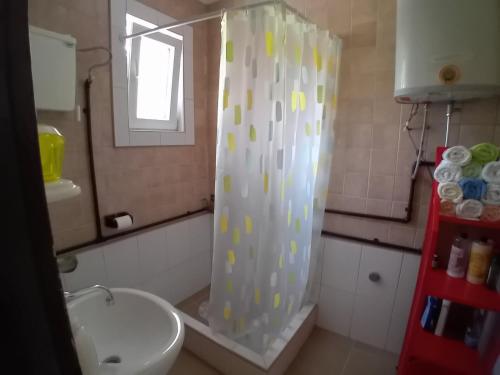 a bathroom with a shower and a sink at Smeštaj Vesna in Bajina Bašta