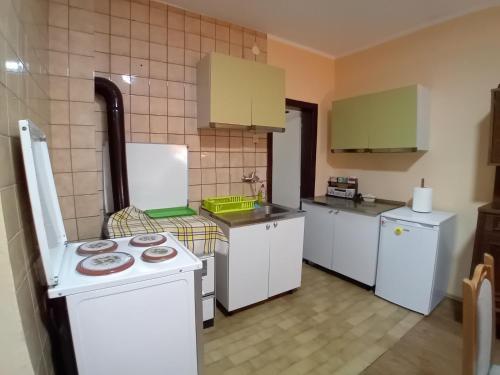 a kitchen with a white stove and a refrigerator at Smeštaj Vesna in Bajina Bašta