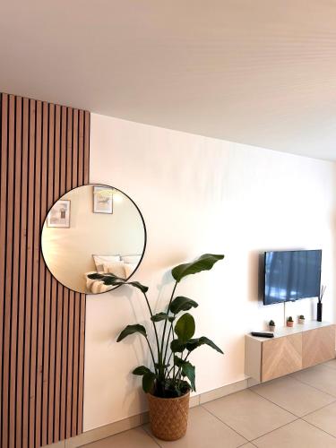 Studio NEUF - PORTES DE MONACO - Confort - Wifi - Clim photo 12