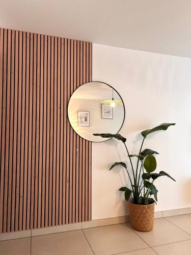Studio NEUF - PORTES DE MONACO - Confort - Wifi - Clim photo 33